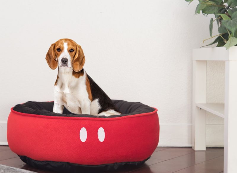 Pawcci X Mickey Designer Dog Bed