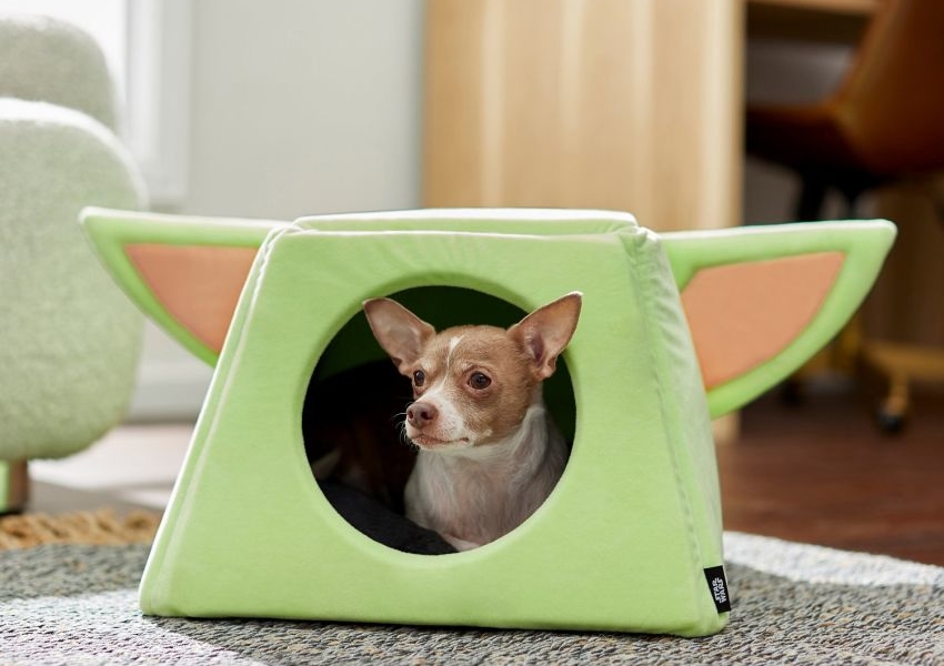disney pet bed
