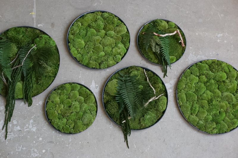 Moss Wall Art by Anna Paschenko are Perfect for Nature Lovers