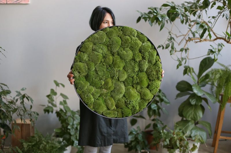 Moss Wall Art by Anna Paschenko are Perfect for Nature Lovers