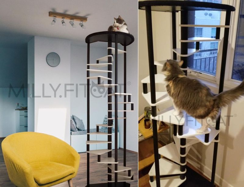 This Stepped Cat Tower Will Help You Encourage Your Feline for Exercise