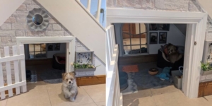 Couple Builds Doghouse Under Stairs for Their Beloved Pup