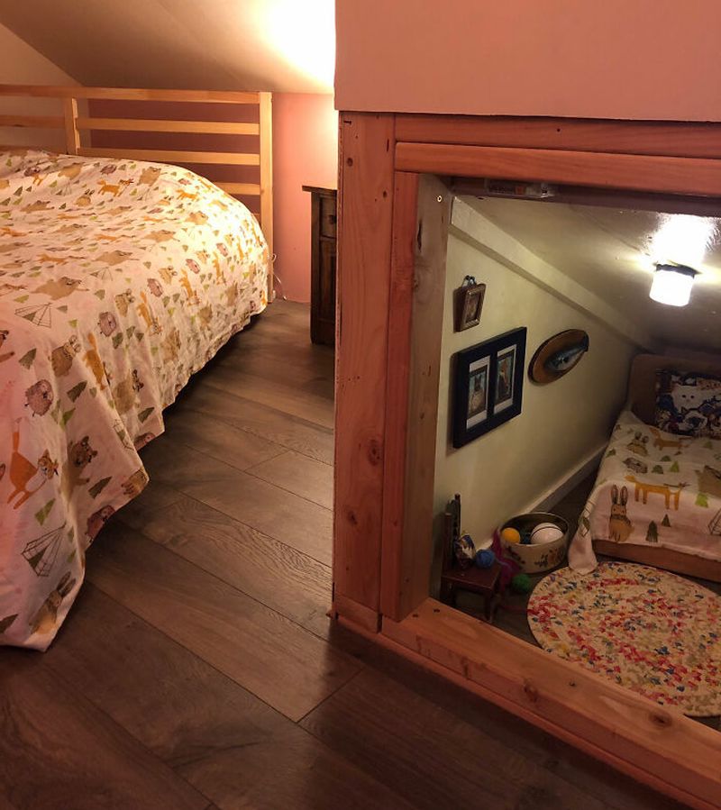 Man Transforms Empty Space in his House Into a Stunning Cat Bedroom With TV