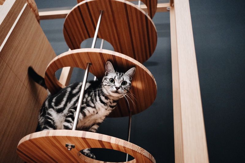 Neko Goten Luxurious Cat Tower