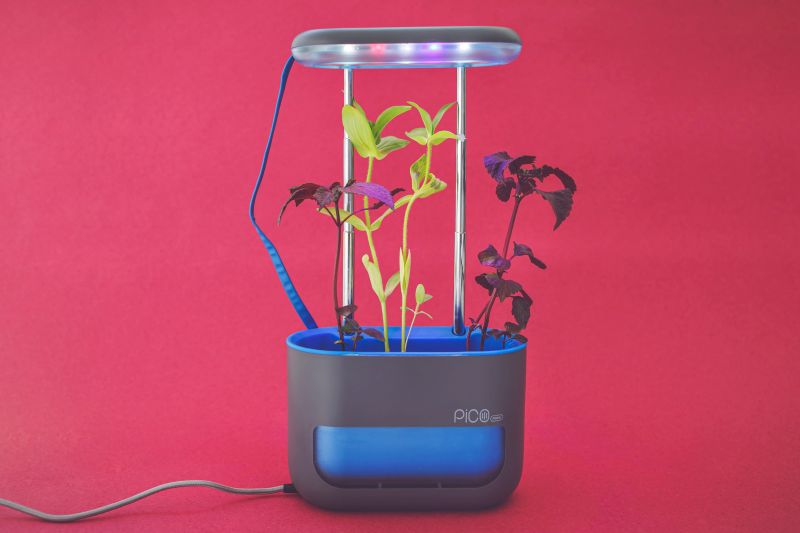 Altifarm Launches PicoMax Self-Watering Indoor Planter with Grow Lights