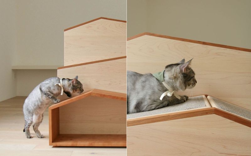 This House-Shaped Cat Tower Doubles as Storage Space