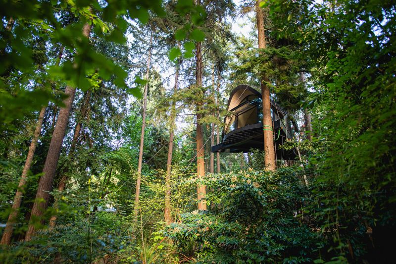 Blackbird Treehouse in Seattle Hangs 25-feet High From Ground