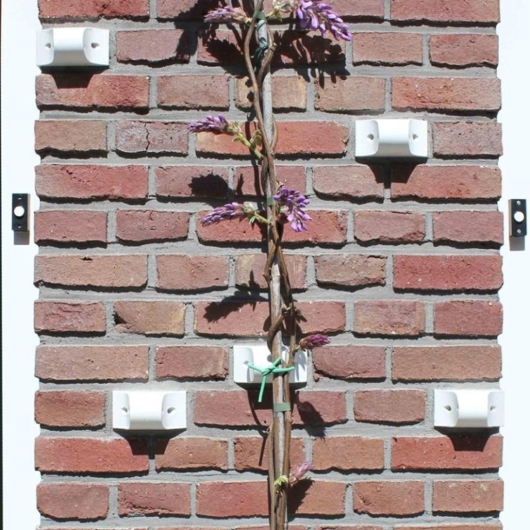 Binder Klinker Brick Works as Clipper to Attach Plants to Home's Façade