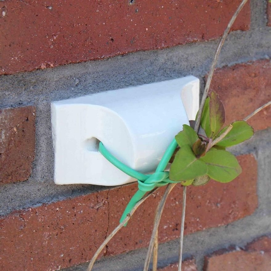 Binder Klinker Special Bricks Work as Clipper to Attach Plants to Your Façade