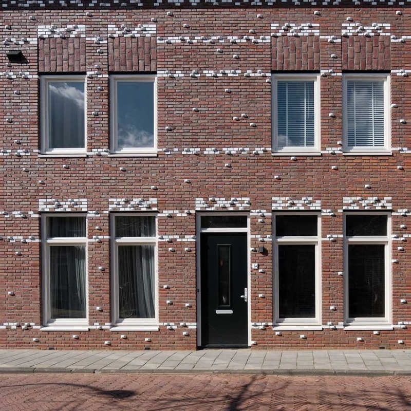 Binder Klinker Special Bricks Work as Clipper to Attach Plants to Your Façade