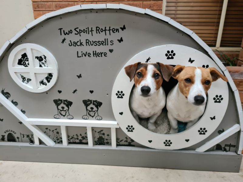 DIYer Woman Builds Hobbit Style Dog House for Her Pups