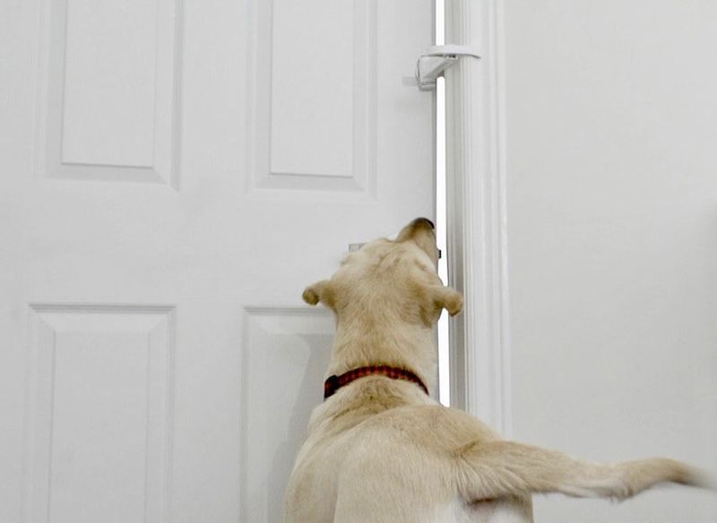 DOORWING Adjustable Door Lock Prevents Door Accidents at Home