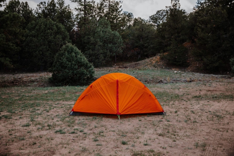 King Peak Tent makes camping fun with separate compartment for pooch.