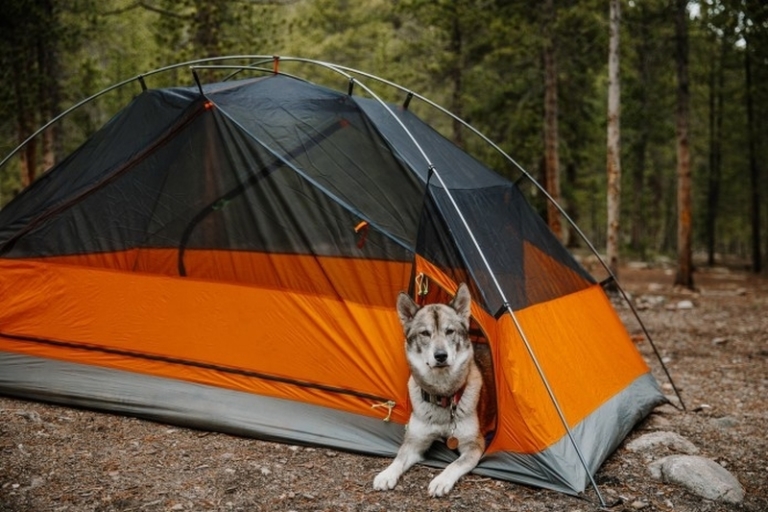 Kings Peak Tent makes camping fun with separate compartment for dogs