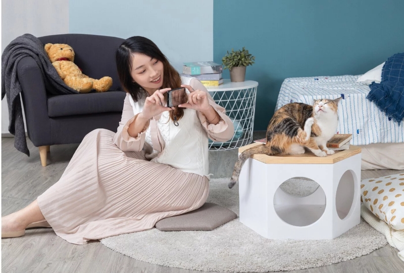 MYZOO Studio Introduces Cat Chair That Keep Your Feline Buzzing