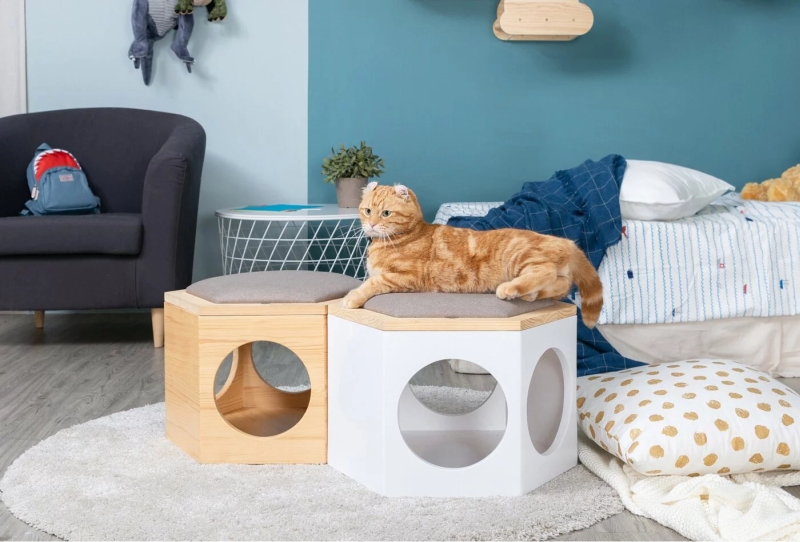 MYZOO Studio Introduces Cat Chair That Keep Your Feline Buzzing