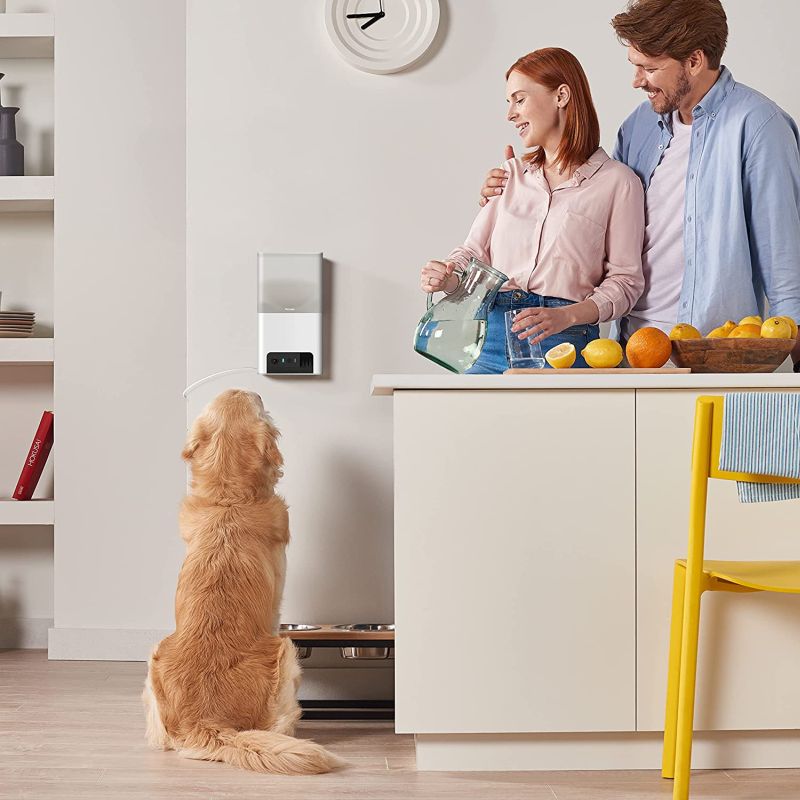 Newly Launched Petcube Bites 2 Lite has Smart Cam with Treat Dispenser