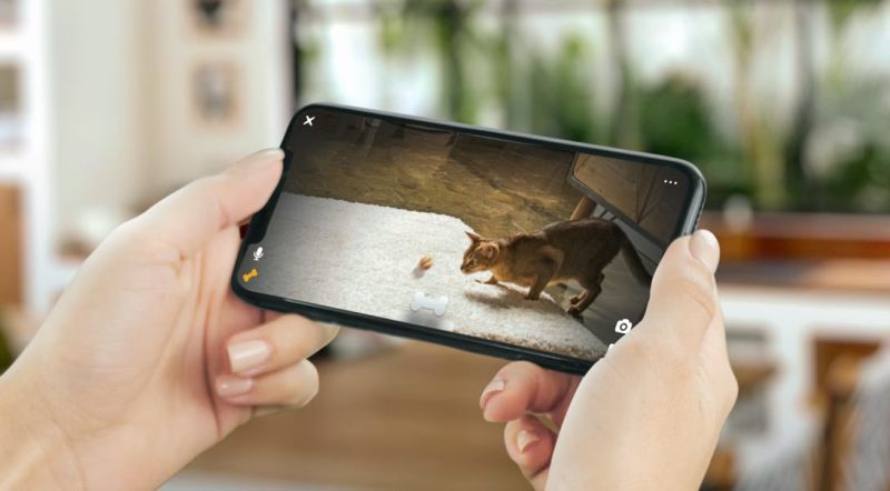 Newly Launched Petcube Bites 2 Lite has Smart Cam with Treat Dispenser