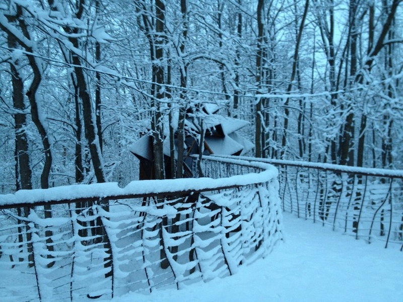 O2 Treehouse Transforms Junkie Backyard into a Copper Nest