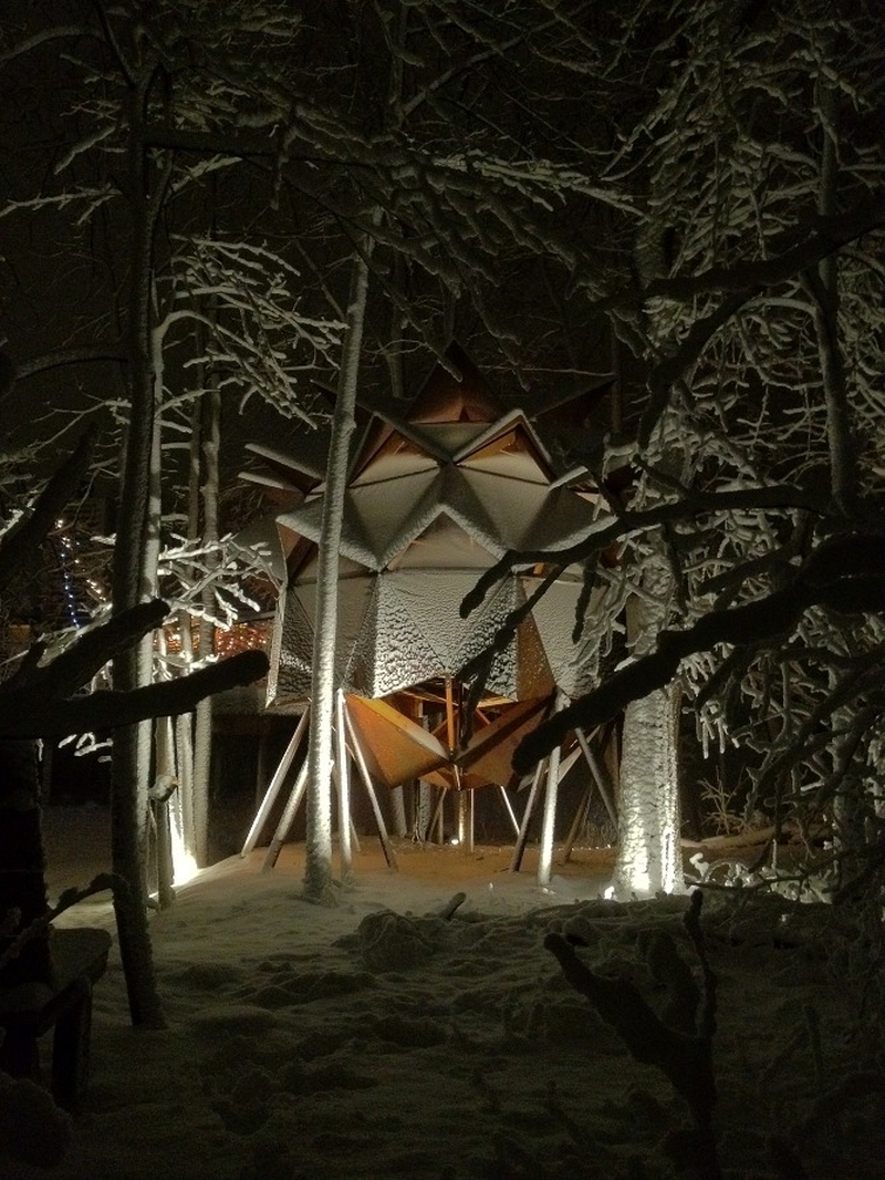 O2 Treehouse Transforms Junkie Backyard into a Copper Nest