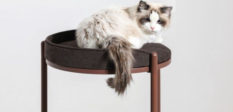 This Award-Winning Cat Climbing Tower is Customizable