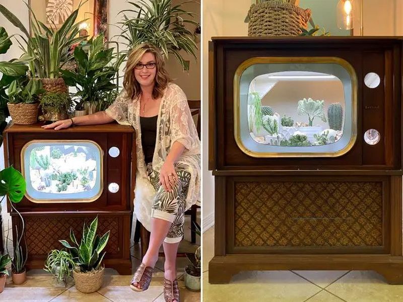 Woman Repurposes Retro TV as Terrarium for Her Cactuses