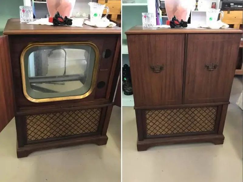 Woman Repurposes Retro TV as Terrarium for Her Cactuses