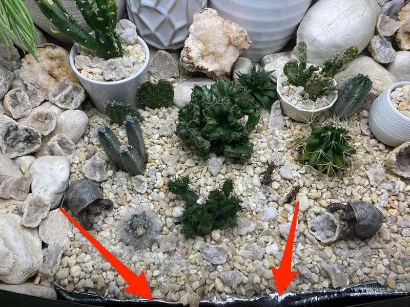 Woman Repurposes Retro TV as Terrarium for Her Cactuses