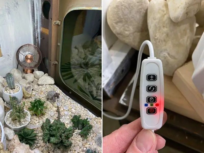 Woman Repurposes Retro TV as Terrarium for Her Cactuses