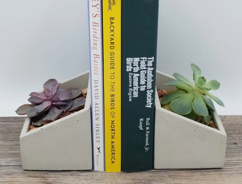 6 Planter Bookends You can Buy Online