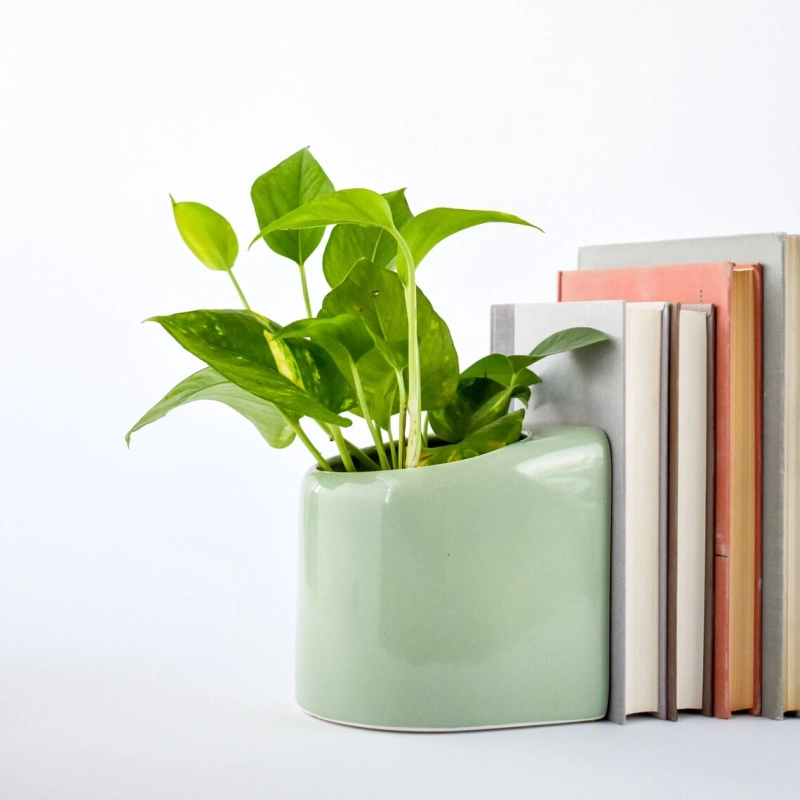 6 Planter Bookends You can Buy Online