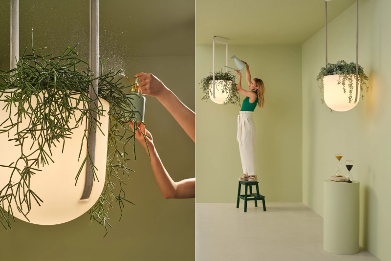 JUNGLE Lamp by Flexx Design Combines Living Plant and Light