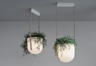 JUNGLE Lamp by Flexx Design Combines Living Plant and Light