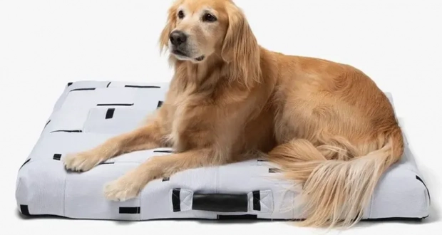 LAY LO Launches Limited Edition Dog Beds From Upcycled Fabrics