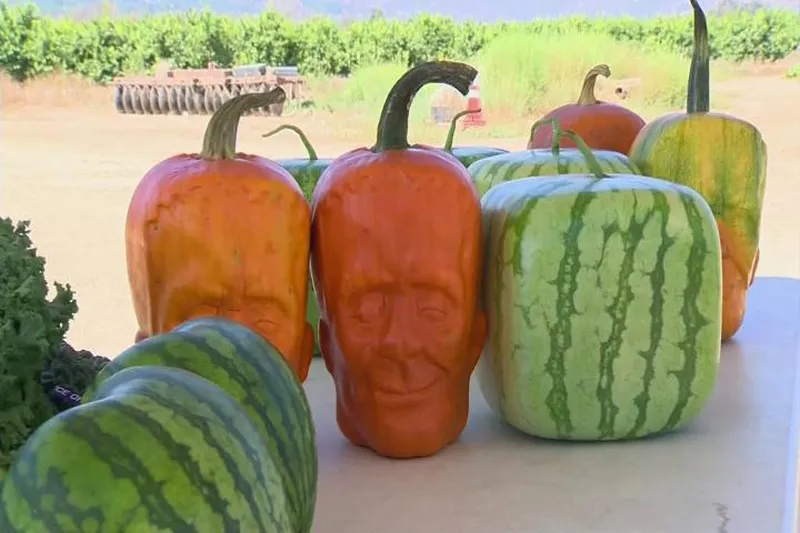 These Plastic Molds Turns Your Fruit Into Freaky Characters 