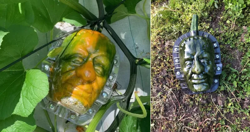 These Plastic Molds Turns Your Fruit Into Freaky Characters 