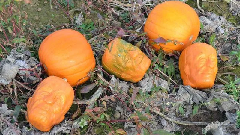 These Plastic Molds Turns Your Fruit Into Freaky Characters 