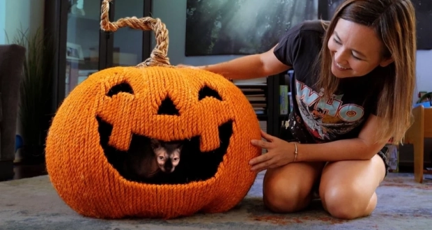 This DIY Jack-o’-Lantern Cat House is Perfect for Halloween