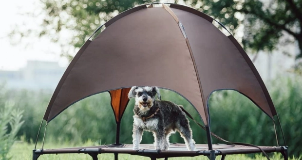 This Pet Bed comes with a Canopy for Sun Protection