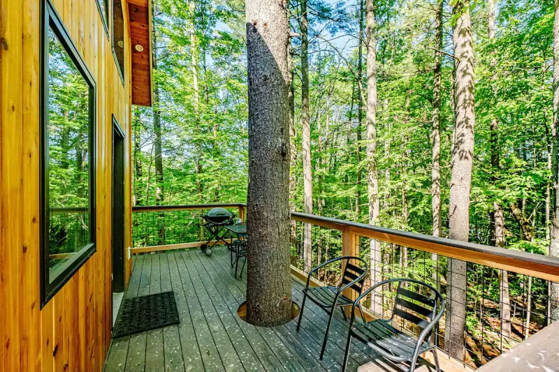 This Solar Powered Carbon Neutral Tree House is Available for Rent on Airbnb 