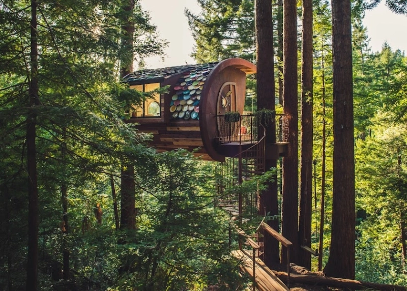 This Treehouse Uses Ceramic Dinner Plate for Roof Shingles