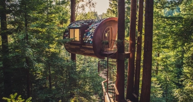 This Treehouse Uses Ceramic Dinner Plate for Roof Shingles