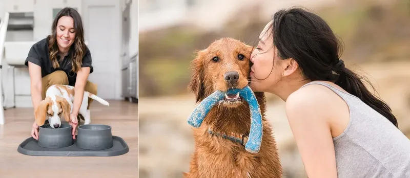 West Paws Seaflex Collection is Upcycled From Ocean Plastic Waste