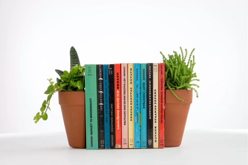 6 Planter Bookends You can Buy Online