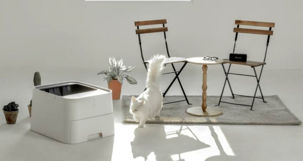 pluto-square-cat-litter-cube