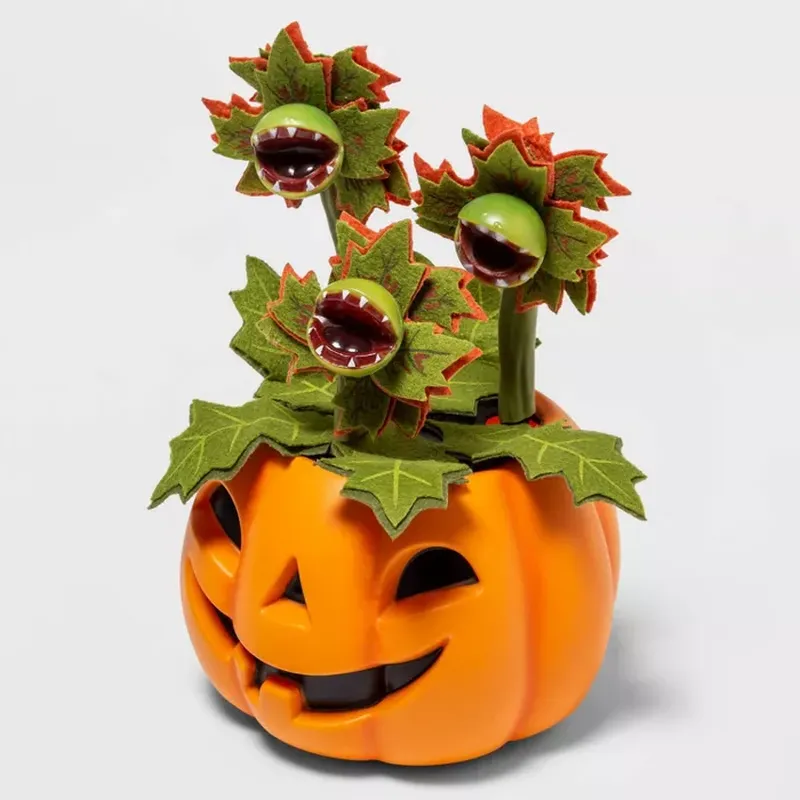 Five Target Halloween Home Décor Succulents That Are Scary as Hell