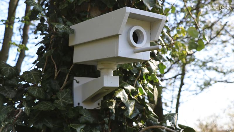 security camera bird house