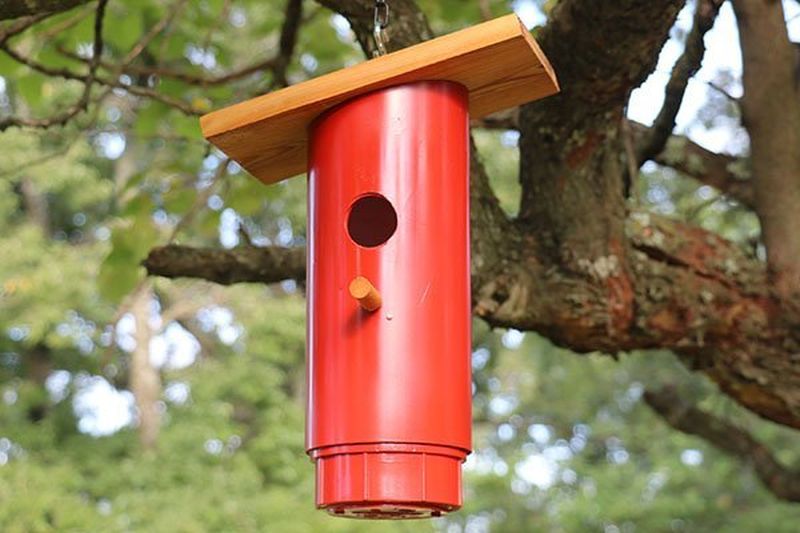 PVC Pipe Blue Bird Nest Box 