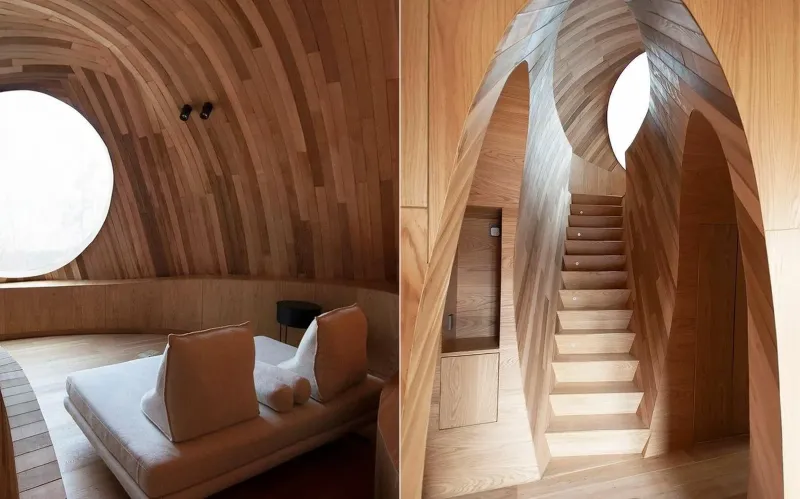 Seed Cabin Pods Welcome You to the Forest Of China 