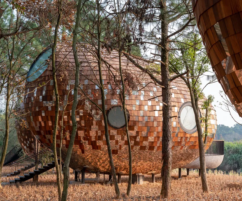  Seed Cabin Pods Welcome You to the Forest Of China 